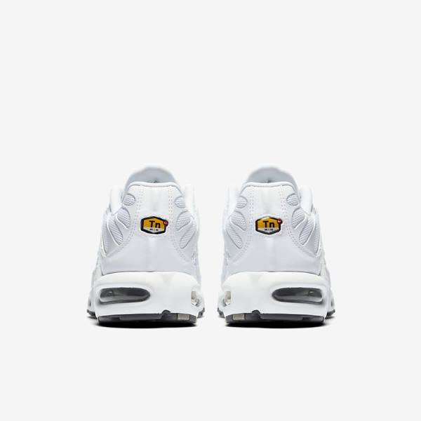 Nike Air Max Plus Muške Tenisice Bijele Crne Sive Bijele | NK294BIZ