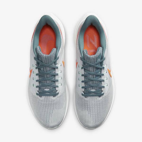 Nike Air Zoom Pegasus 39 Road Muške Tenisice Za Trčanje Platine Narančaste | NK928FYG