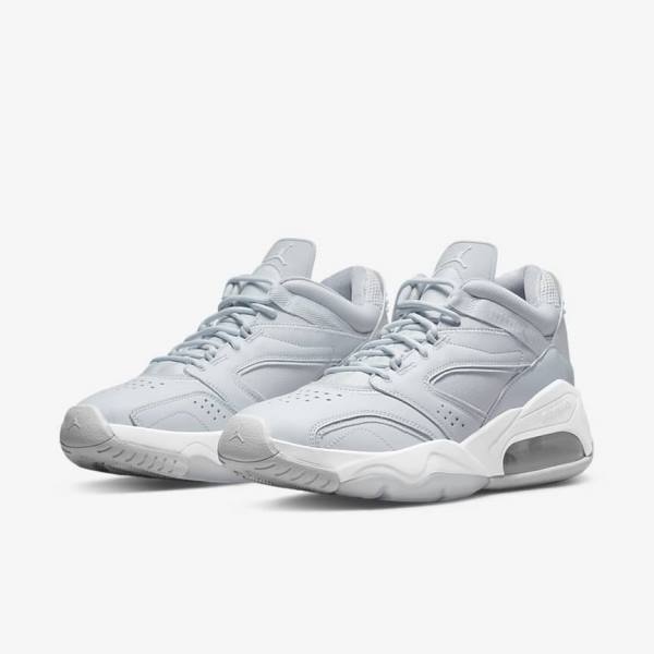 Nike Jordan Point Lane Muške Tenisice Platine Bijele Sive | NK961MCG