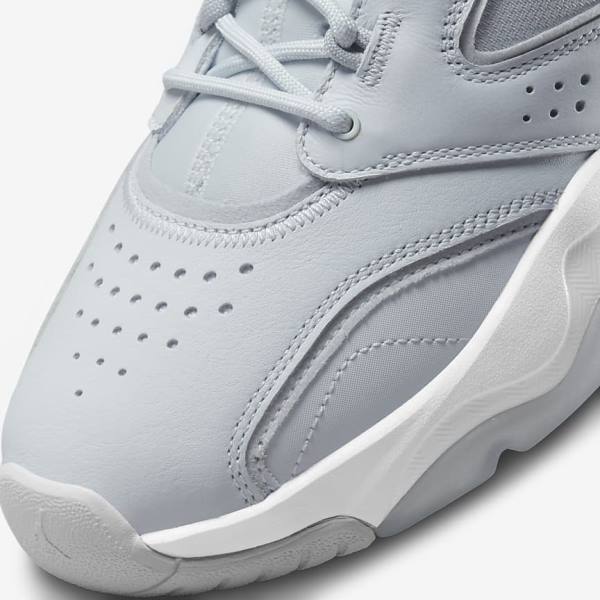 Nike Jordan Point Lane Muške Tenisice Platine Bijele Sive | NK961MCG