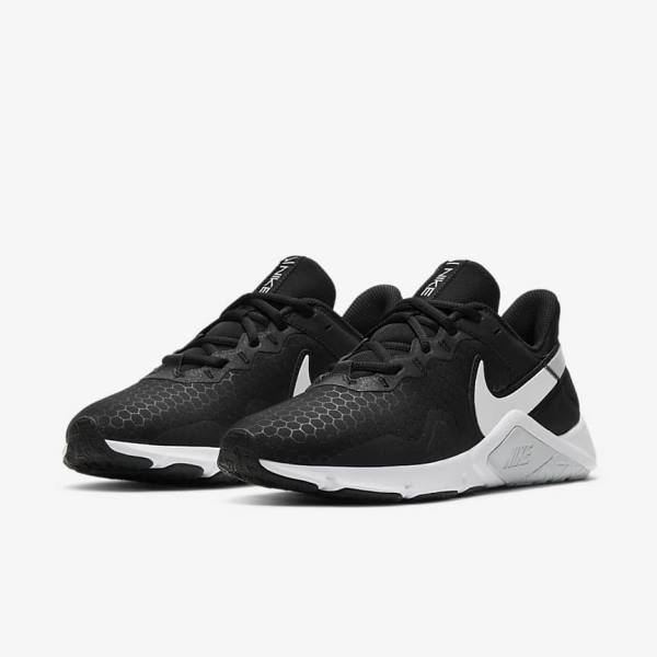 Nike Legend Essential 2 Ženske Tenisice Za Trening Platine Ljubičaste Sive Ljubičaste Bijele | NK856JKO