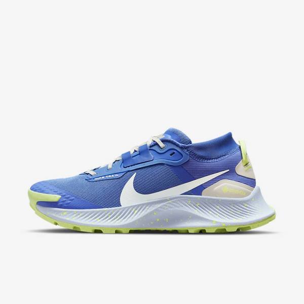 Nike Pegasus Trail 3 GORE-TEX Waterproof Trail Ženske Tenisice Za Trčanje Plave Smeđe Sive | NK086XJD