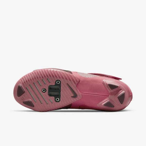 Nike SuperRep Cycle Indoor Cycling Ženske Tenisice Za Trening Roze Metalne Svijetlo Roze | NK836AOI